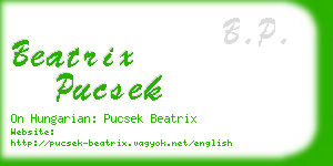 beatrix pucsek business card